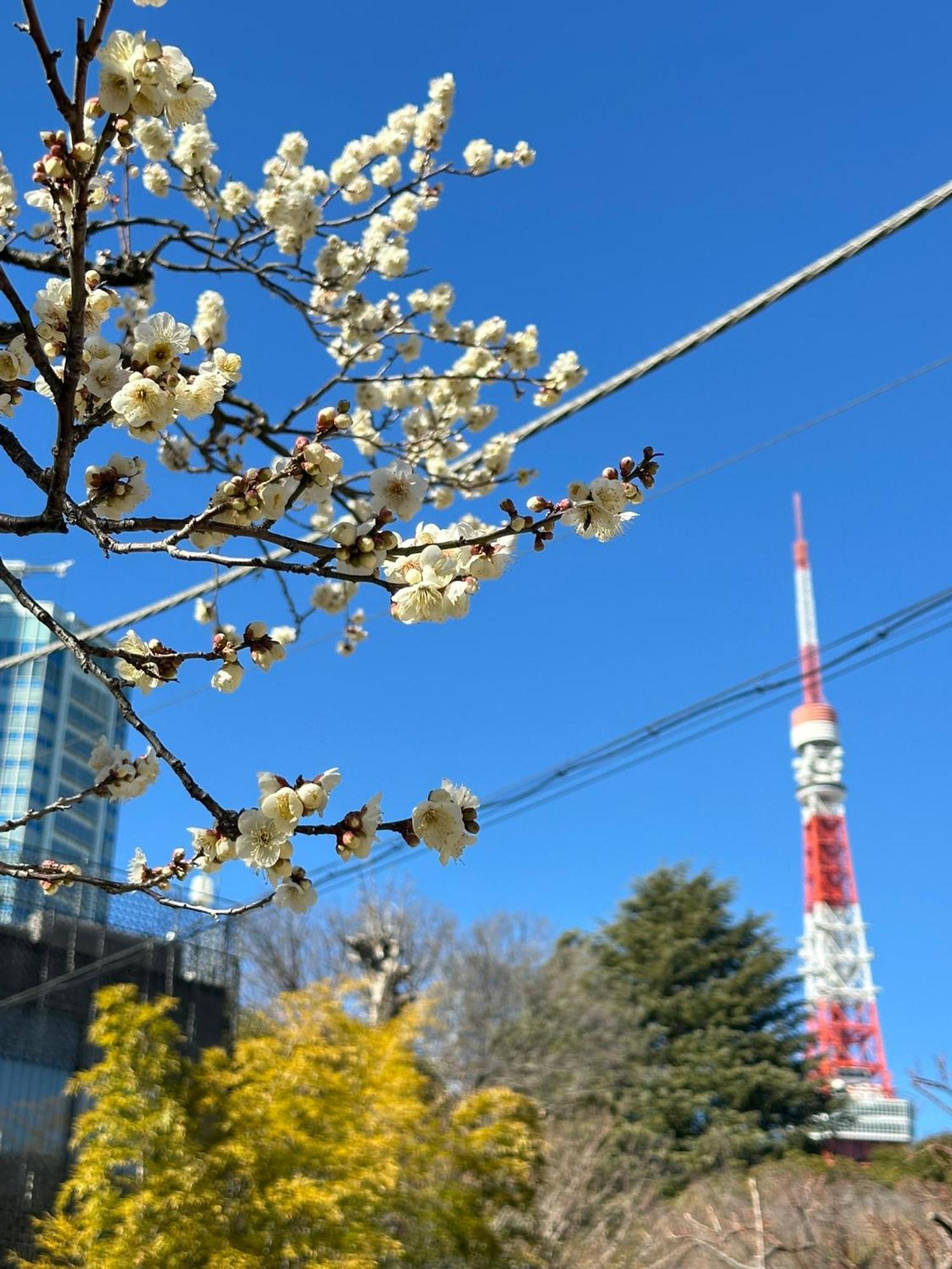 Rose Stay Tokyo Shiba Park Экстерьер фото